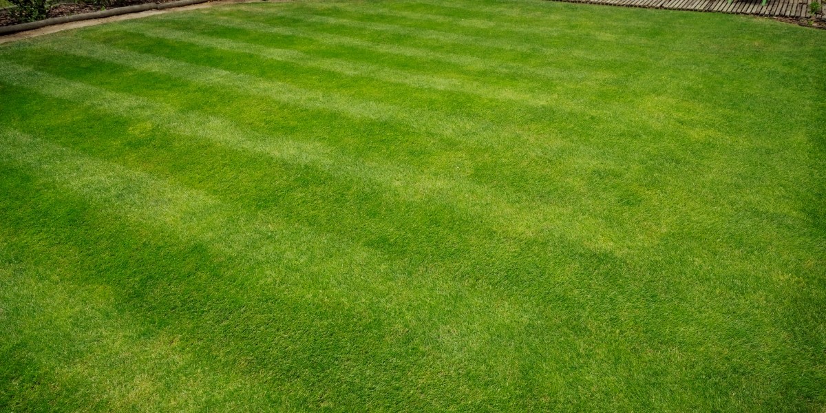 Stripes after mowing with Swardman reel mower