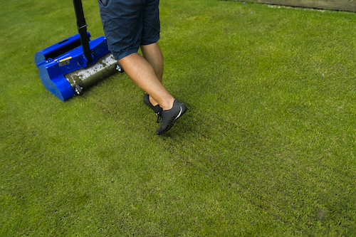 Lawn verticutting