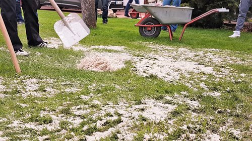 Piaskowanie trawnika