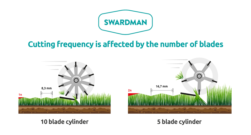 How to choose the right cylinder for your lawn SWARDMAN