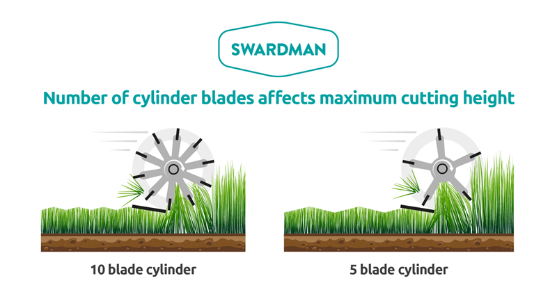 Cylinder Mower - Are they good? Which one is best? TRG