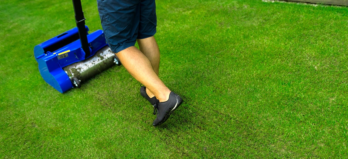 Verticutting the lawn with the Swardman verticutter